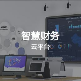 智慧財務云平臺軟件