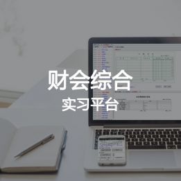 財會綜合實習平臺軟件