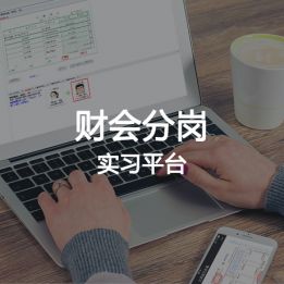 財會分崗實習平臺軟件